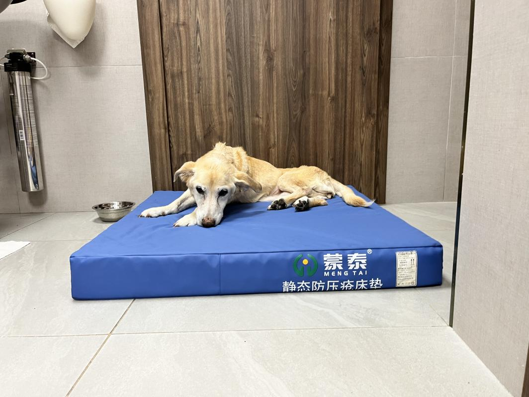防褥疮床垫 防褥疮床垫