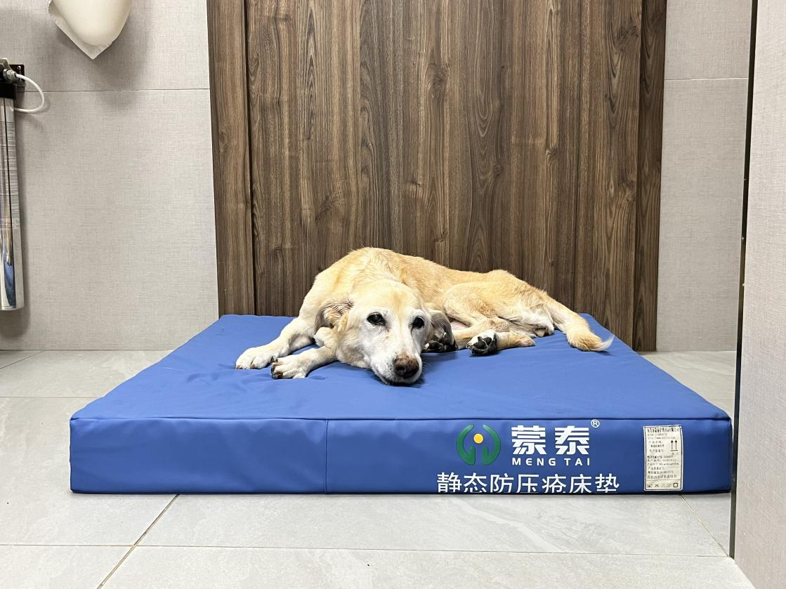防褥疮床垫 防褥疮床垫